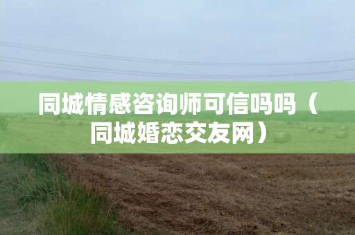 戀愛的進(jìn)度 從相識到相守的奇妙旅程